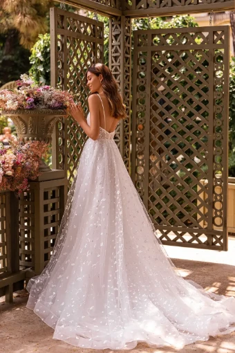 Aria Bride Begonia #1 Ivory thumbnail